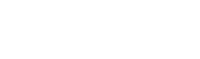 Profexional